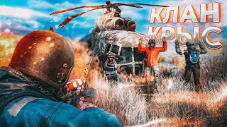 Клан Крыс вышел в бою и был наказан - DayZ