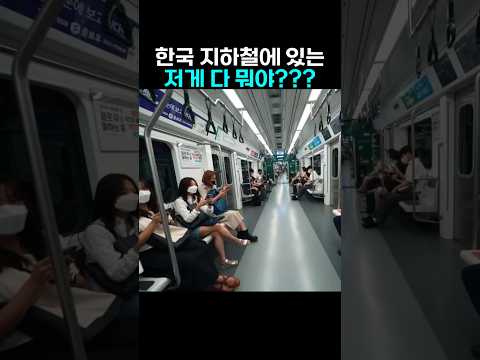 한국인들의 지하철 문화를 알게되고 깜짝 놀란 외국인들