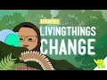 Survival and Adaptation in Ecosystems