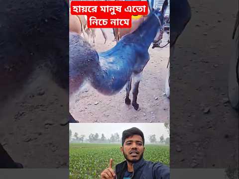 এটা করা কি ঠিক