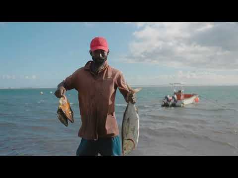 St. Kitts | Kittitian Flavor