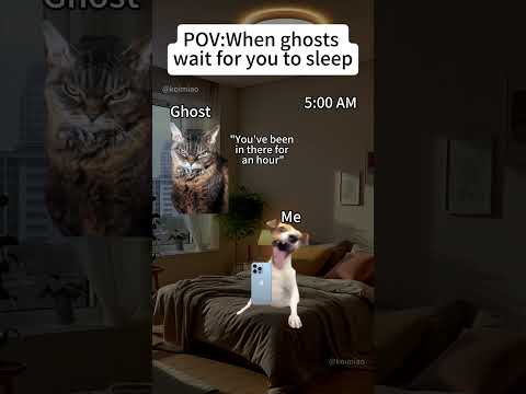 CAT MEMES🐱 When ghosts wait for you to sleep #catmemes #memes #funnymemes #funny #relationship