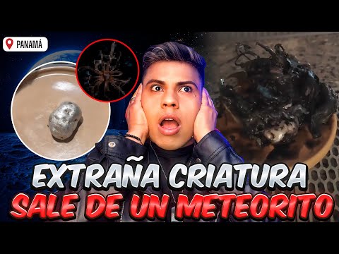 UN METEORITO que impactó en PANAMA tenía vida en su INTERIOR 