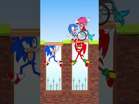 Double Bridge Challenge With Sonic and Knuckls ๐ช๐ #shorts #tiktok #viral #animation