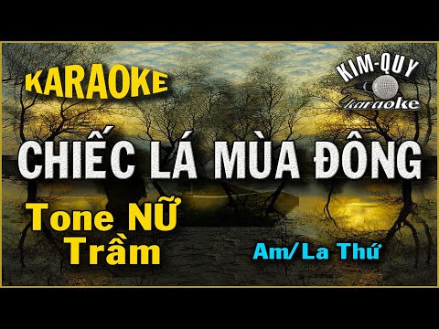 Karaoke CHIẾC LÁ MÙA ĐÔNG – Ballad – NỮ Trầm (Am/la Thứ) KIM QUY KARAOKE