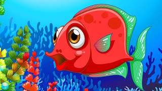 Kırmızı Balık 🐠 Eğlenceli 4️⃣ Kırmızı Balık Şarkısı Bir Arada