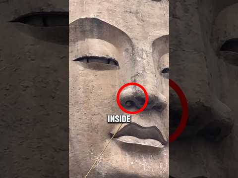 What’s Hiding in the Statue’s Nose? 🗿🐝 #shorts #reaction