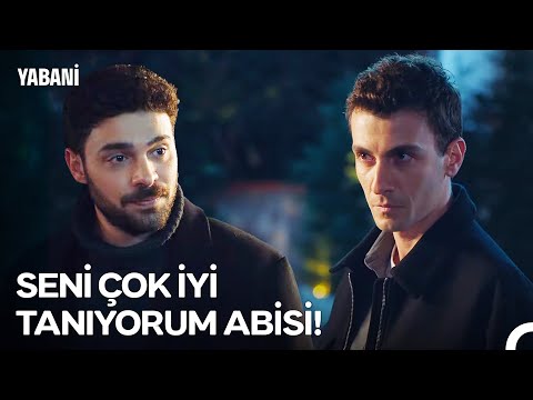 Yaman İşini Şansa Bırakmayacak - Yabani