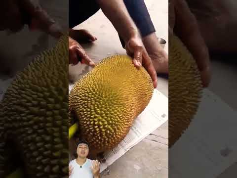 CARA MENGUPAS NANGKA PALING ANEH DI DUNIA⁉️ BARU TAU ADA CARA INI😱