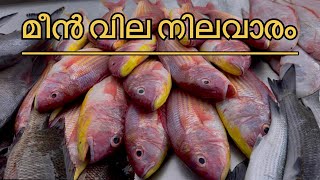 ഇന്ന് വിറ്റ മീനുകളുടെ വില നിലവാരം ✅ #fishmarket #fishing #fisherman