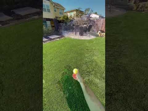 POV: What my dreams are like
