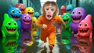 KiKi Monkey Escape Prison Full of LABUBU and go Swimming Pool with Ducklings | KUDO ANIMAL KIKI