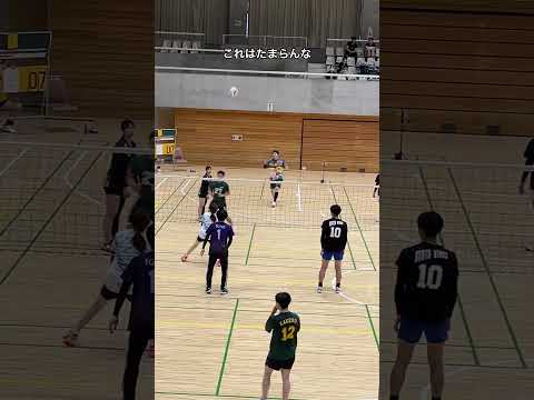 【これはたまらんな】男女混合バレーボール大会のプレー【バレーボール大会】【クルーズカップ】#shorts#バレーボール#混合バレーボール