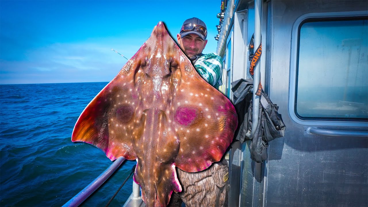 Massive Arctic Sting Ray Catch Clean Cook DeerMom crashes on a scooter!