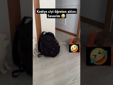 Gülünce güller açar dediğine yolla👍#kedi #keşfet #shorts  #sessizyazar #cat #bebek #oyun #çocuk#aşk