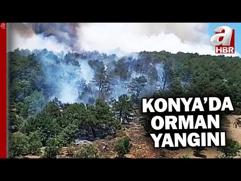 Konya'da orman yangını! Yangına havadan ve karadan müdahale ediliyor! | A Haber