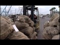 Texas Bays and Estuaries Impact