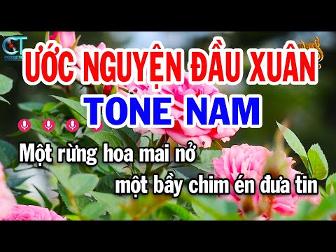 Karaoke Ước Nguyện Đầu Xuân Tone Nam ( Cm ) Nhạc Sống Mới || Karaoke Tuấn Kiệt