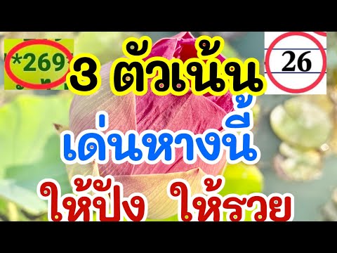 3ตัวเน้นเด่นหางนี้ให้ปังให้รวย1พ.ย.67