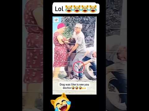 Dog pursued his doctor after injection ๐ #viralvideo #funnyvideo #dog