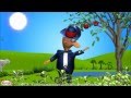 Exploring the Carbon Dioxide Cycle