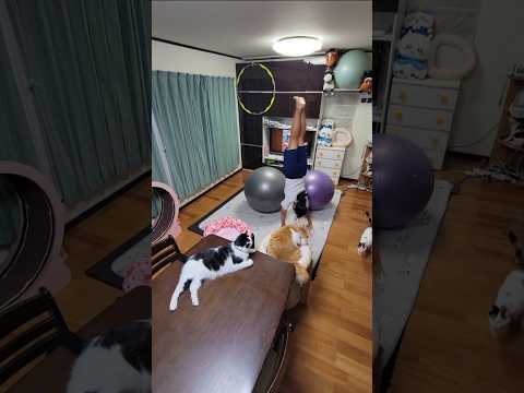NGシーン SUMMER GAME 🎵 氷室京介 🎶 まさかの2度乱入🐈️回避運動後中断。バランスボール&アクロバット 「タイトル曲」を頭の中で描き即興的に表現👧