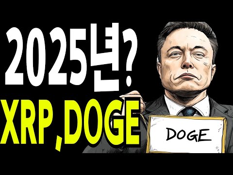 비트코인 도지코인 리플코인  2025년 XRP DOGE 🔥