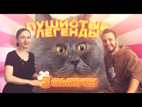 Пушистые легенды - Федя кот (Fedja_kot) Выпуск 3