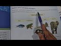 Animal Adaptations and Classifications