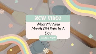 Realistic What My Nine Month Old Eats In A Day