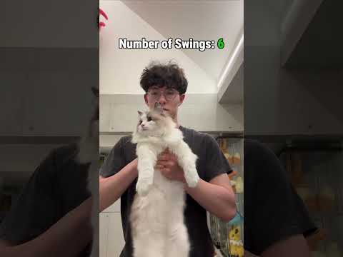 How many times can I swing my cat? #cat #catlovers #cutecat #funnycats #shorts #cats