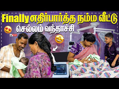 Finally எதிர்பார்த்த நம்ம வீட்டு செல்லம் வந்தாச்சி 😍| Vinoth Seetha