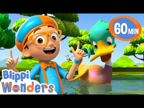 Blippi discovers how ducks float on water! | Blippi Wonders Educational Videos for Kids