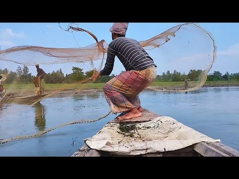 Amazing Fishing By Net - Very Amazing Net Fishing in Village River - cast Net Fishing