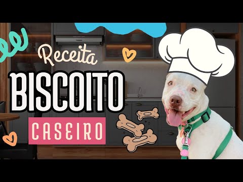 BISCOITO PARA CACHORRO l RECEITA FÁCIL E RÁDIDA SEU PET VAI AMAR