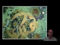 Marine Ecosystem Interactions and Behaviors