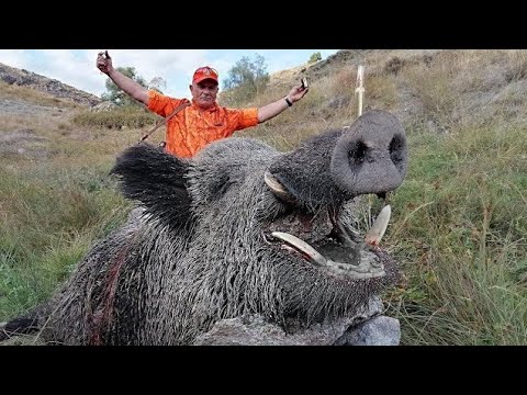 How SNIPER GRANDFATHER! Deals with Invading Wild Boars sk47