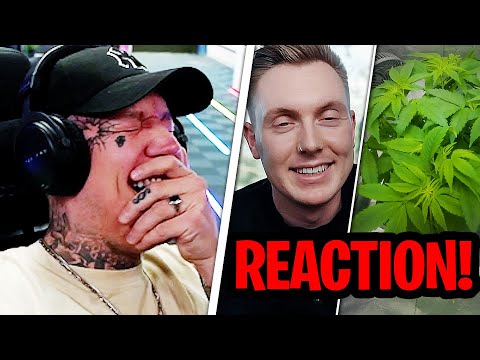 ER BAUT SEIN EIGENES CANNABIS AN!😂 Wie schwer ist es wirklich? - Tomatolix | MontanaBlack Reaktion