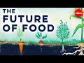 Sustainable Farming Practices and Innovations