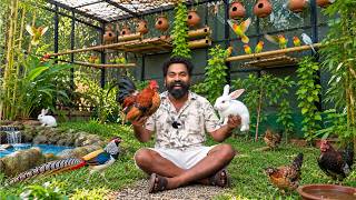 Ep 10 Building A Giant Bird House | കിളികൂട്ടിലേക്ക് കാട്ടു കോഴിയും മുയലും വാങ്ങിച്ചു | M4 Tech |