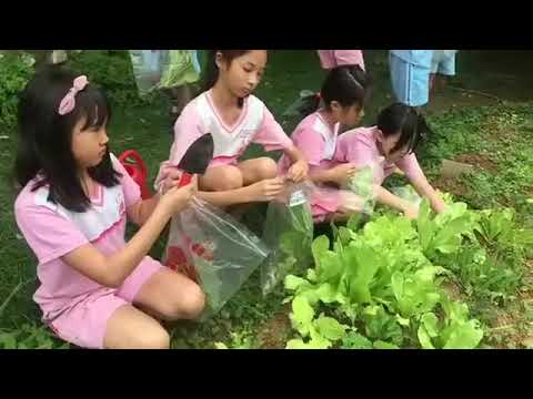 田園至善健康促進暨田園食農學校 - YouTube