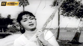 இந்த நாடகம் பாடல் | intha nadagam song | Viswanathan–Ramamoorthy | Palum Pazhamum .