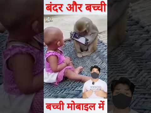मोबाइल में वीडियो देखने को लेकर बंदर और बच्ची में हो गई छीनाझपटी #shorts #monkey