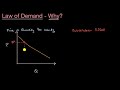Understanding the Law of Demand