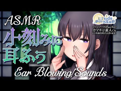 [ASMR] 小刻みに耳ふぅ/ Short & Snappy Ear Blowing Sounds #01 [ 声なし | No Talking ]
