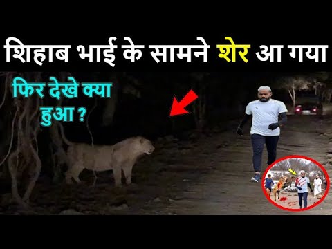 Raat Ko Achanak Shihab Bhai Ke Samne Sher Aa Gaya 🐆 फिर जो हुआ आप हैरान रह जाओगे 😱😱