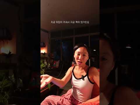 해외 한 달 살기 현실. 부러워하지 않으셔도 됩니다