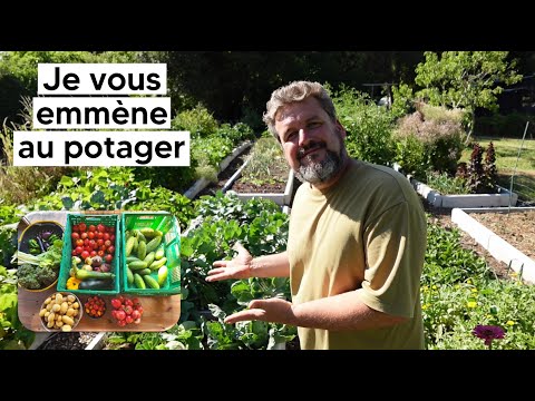 [VLOG] On fait un grand tour du jardin et on récolte. ✨Le potager chatoye de 1000 feux 🤩✨
