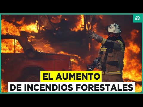 El aumento de los incendios forestales: 99% son provocados por la acción humana