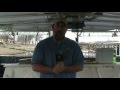 Mussel Population and Related Topics